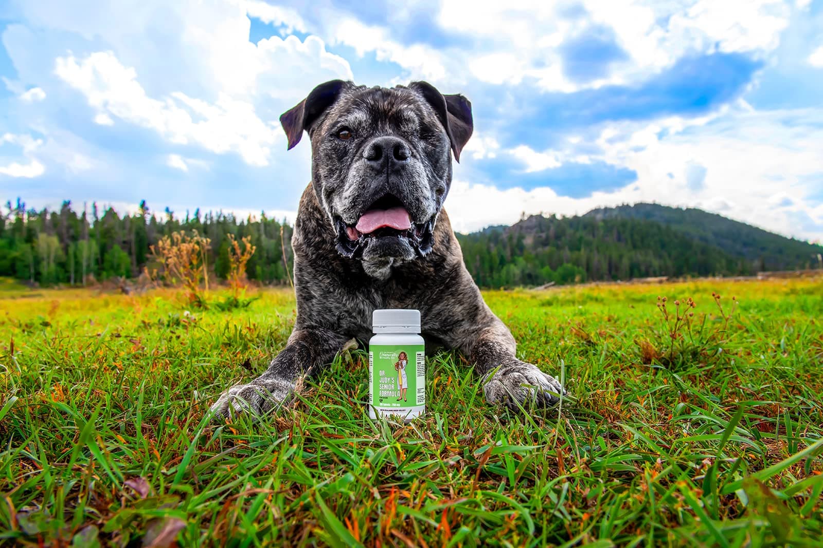 Dr. Judy's Senior Formula