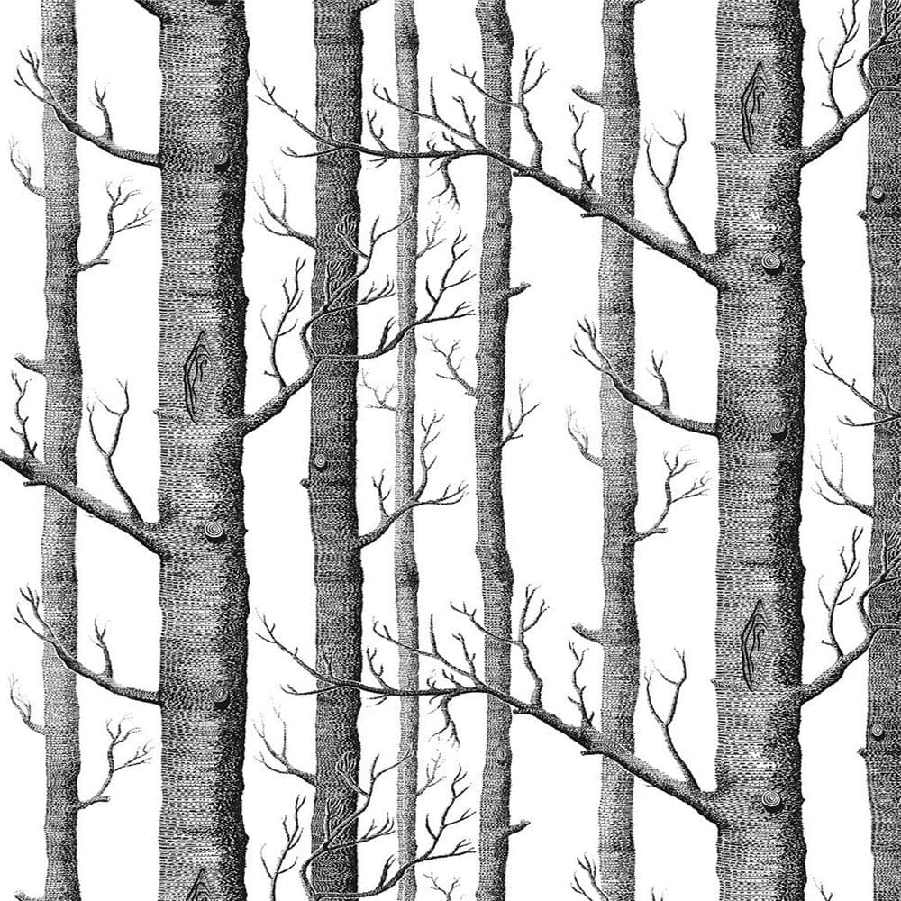 Akea Modern Birch Tree Wallpaper Roll, Black and White Forest Trunk, for Living Room , Bedroom, TV Background etc, Size 20.8inch x 32.8ft, 57 sq.feet