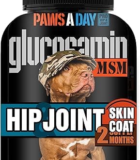 Glucosamine for Dogs Hip & Joint Supplement – “Two-in-One Combo” Dog Joint Care and Improved Skin & Coat with Chondroitin, MSM, Omega 3, Collagen & Biotin, 60 Chewable Tablets