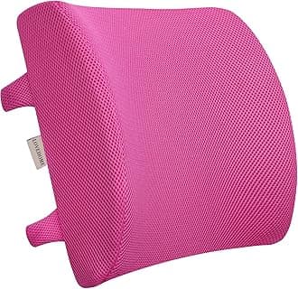 Love Home Memory Foam 3d Ventilative Mesh Lumbar Support Cushion Back Cushion - Alleviates Lower Back Pain - (Rose Red)