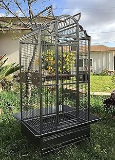 Large Elegance and Durable Wrought Iron Open Play Top Stand Bird Parrot Rolling Cage, Include Metal Seed Guard Solid Metal Feeder Nest Door