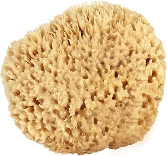 Sea Wool Sponge 5-6" (Large) by Bath & Shower Express ® Natural Renewable Resource, Esponja for Exfoliating and Washing Body