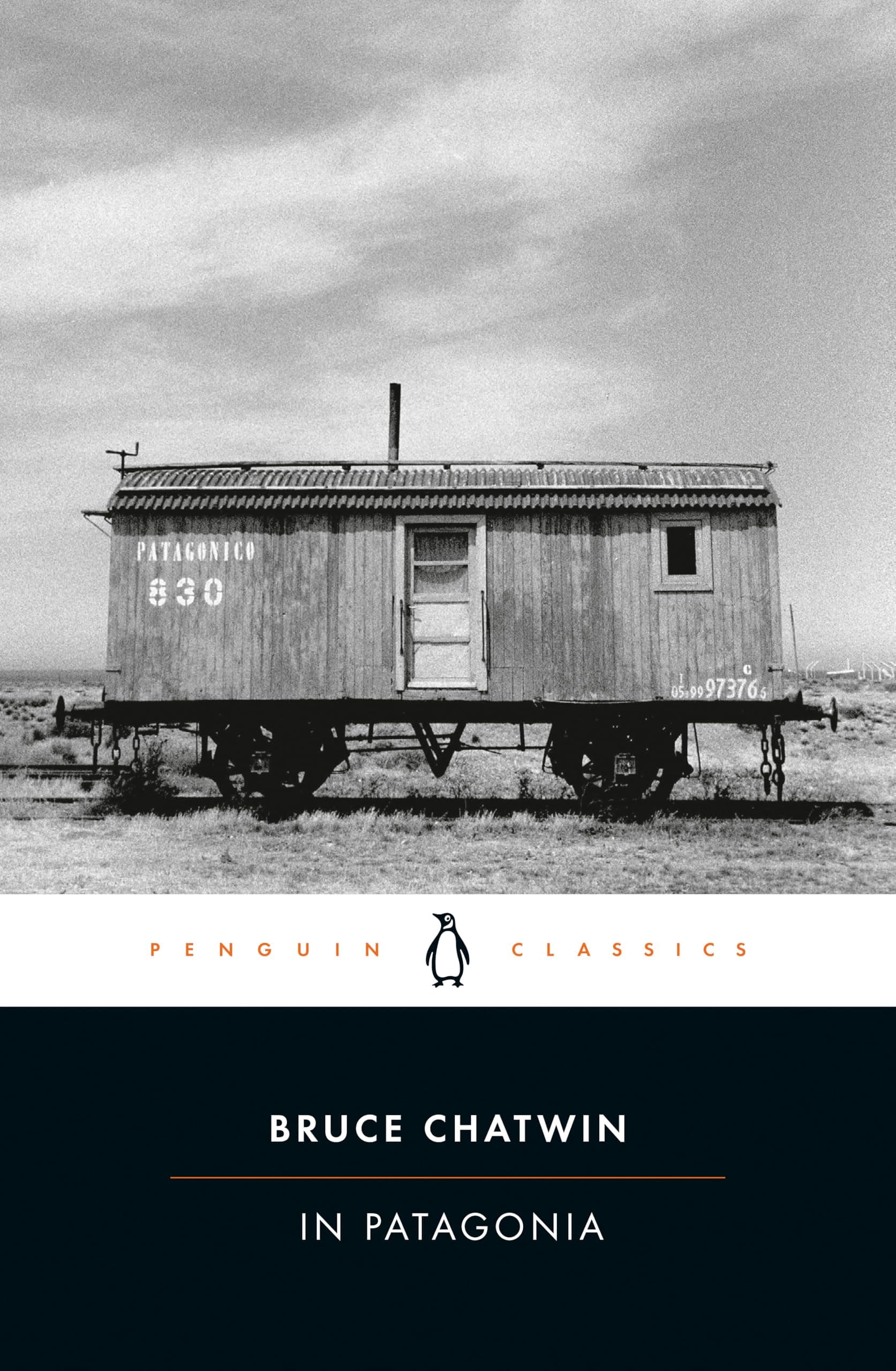In Patagonia (Penguin Classics)