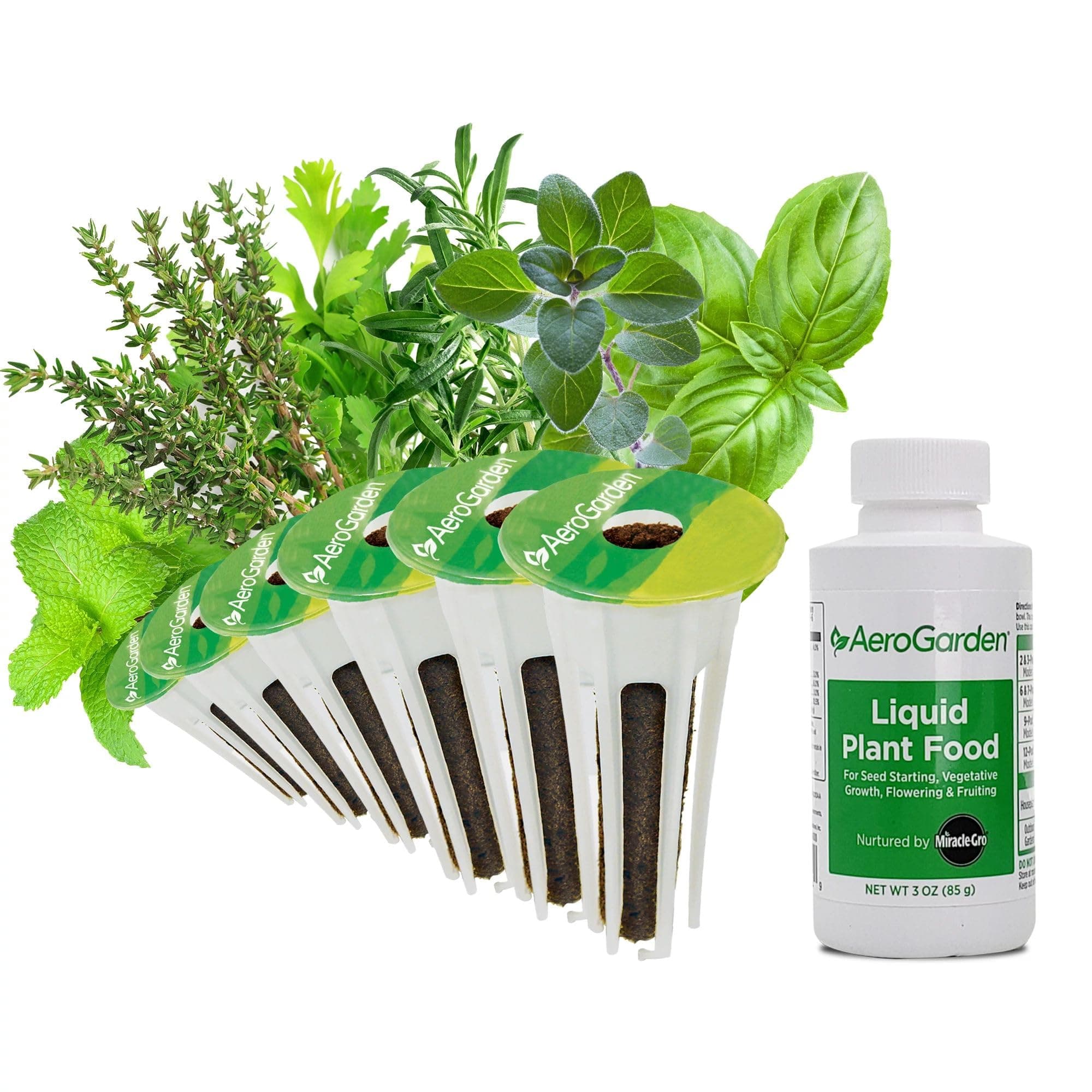 Assorted Italian Herb Seed pod Kit, 6-Pod