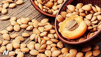 A D Food & Herbs Bitter Apricot Kernels Raw Unprocessed Fresh and Natural (20 GMS x Pack of 2)