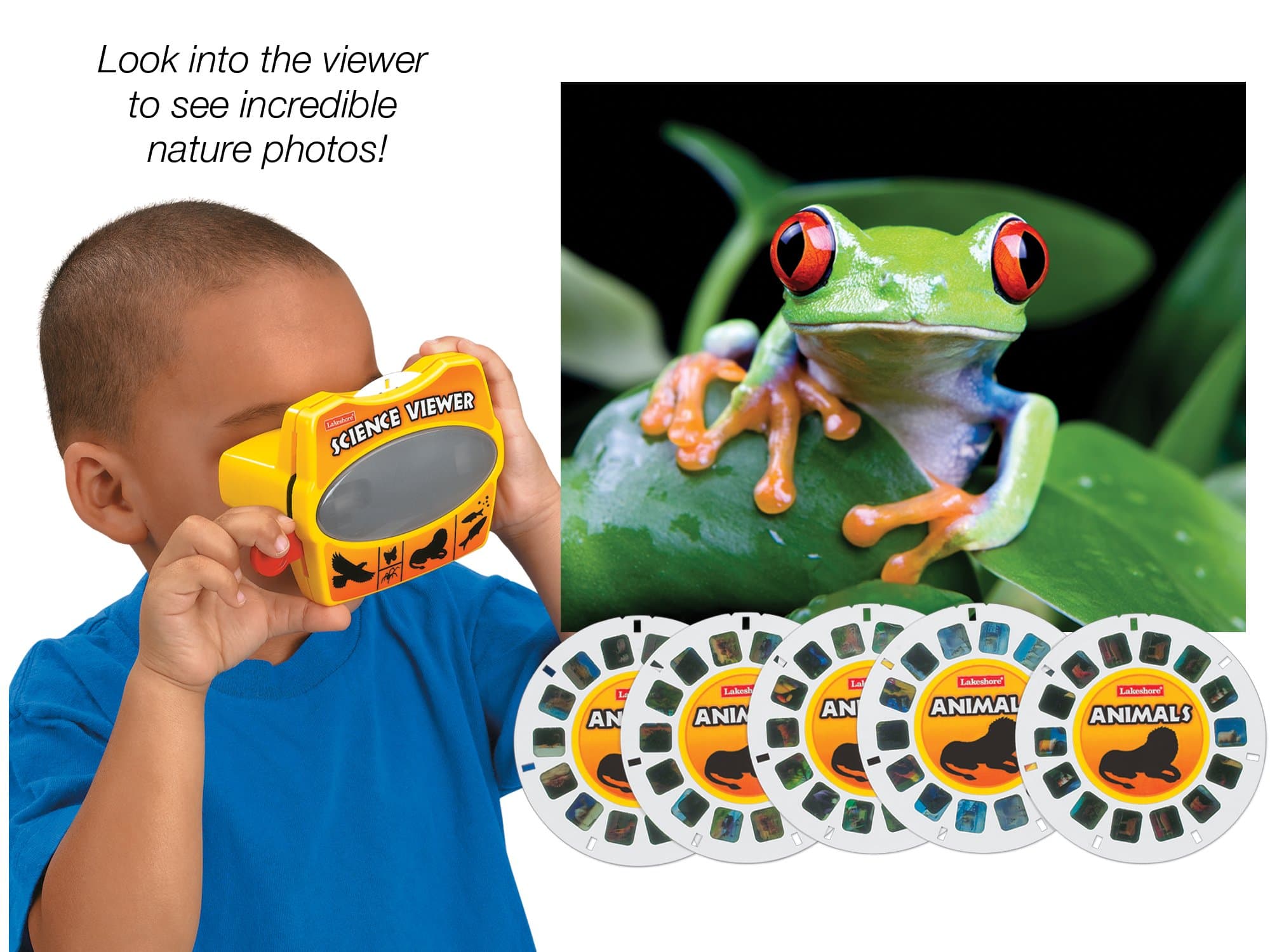 Lakeshore Animals Science Viewer Unknown Binding