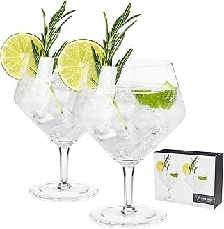 Raye Angled Stemmed Gin and Tonic Glasses Set of 2 - Premium Crystal Clear Cocktail Gin Glasses for Gin Lovers Gift Set - 14oz