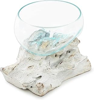 Handcrafted Glass Bowl on Driftwood - Unique Decorative Glass Bowl for Table Centerpieces (Extra Small)