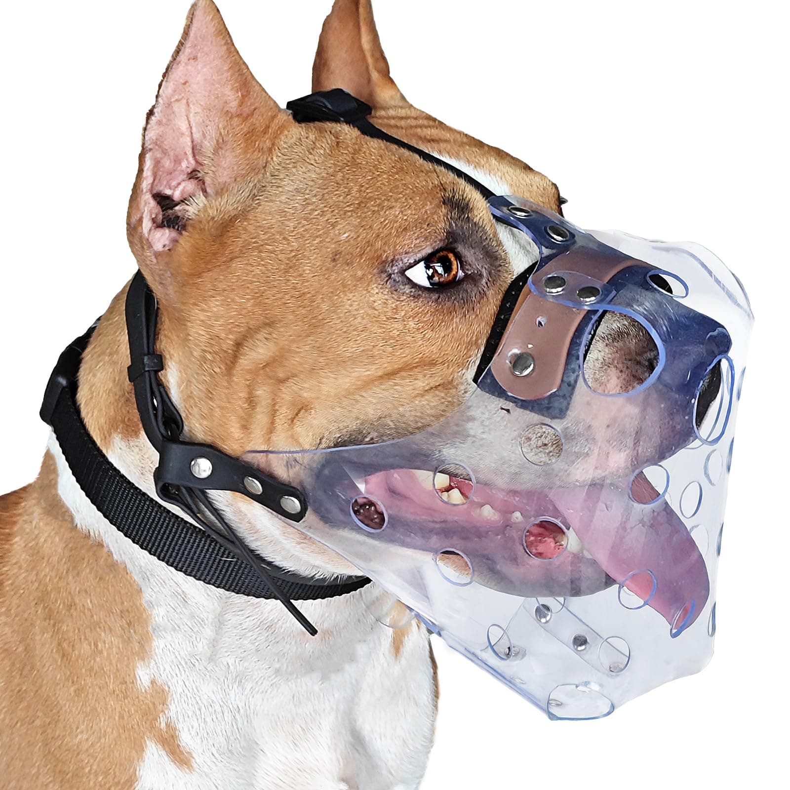 Pitbull Muzzle, Basket Muzzle for Large Dogs Rottweiler to Prevent Biting Chewing Scavenging, Breathable Dog Mouth Guard for Grooming Vet Visits that Allows Panting Drinking