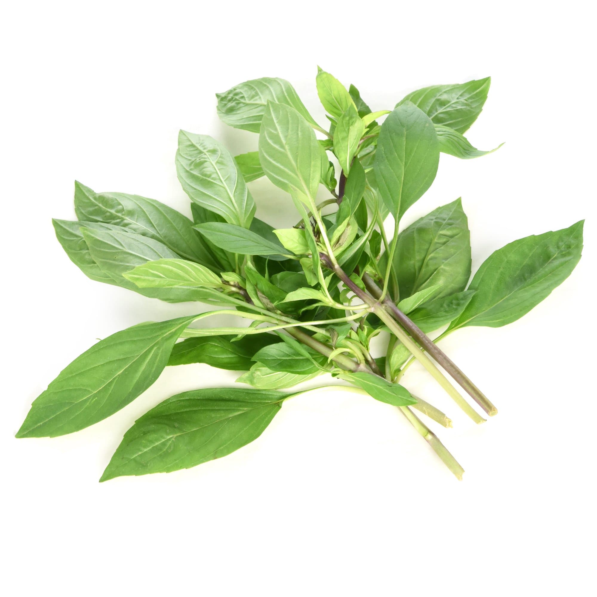 Langmead Herbs Thai Basil 25g
