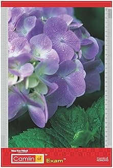 Camlin Kokuyo Exam Clip Board