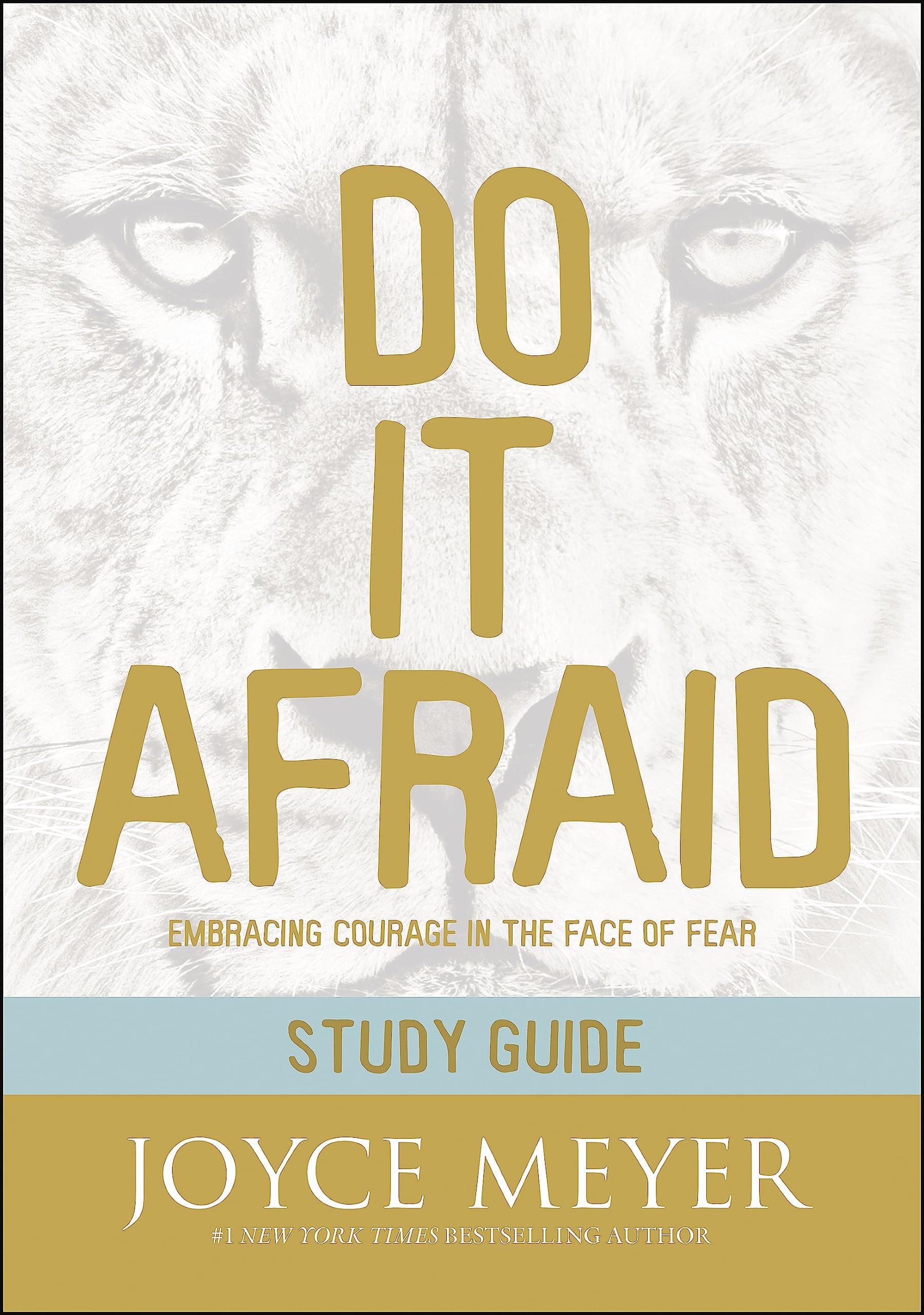 DO IT AFRAID STUDY GUIDE (STUDY GUIDE): EMBRACING COURAGE IN THE FACE OF FEAR