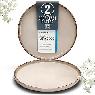 Stoneware Small Dinner Plates Set of 2, Modern Rustic -Style, 7.9 Ceramic, Dishwasher, Microwave Safe Dinner Plates, Kitchen Plates-Rustic Beige, Large