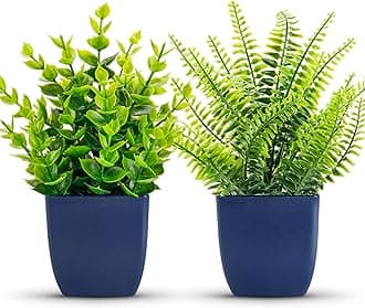 Der Rose Fake Plants 2 Pack Small Artificial Plants in Blue Pots Faux Plants Indoor for Home Room Bathroom Living Room Decor