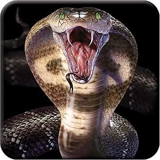 Cork Coaster - Cobra from Deluxebase. Drinks Coaster with Lenticular 3D Animal Image. Non-Slip Protective Table Drink Mat for Home Decor and Decorative Accessories.