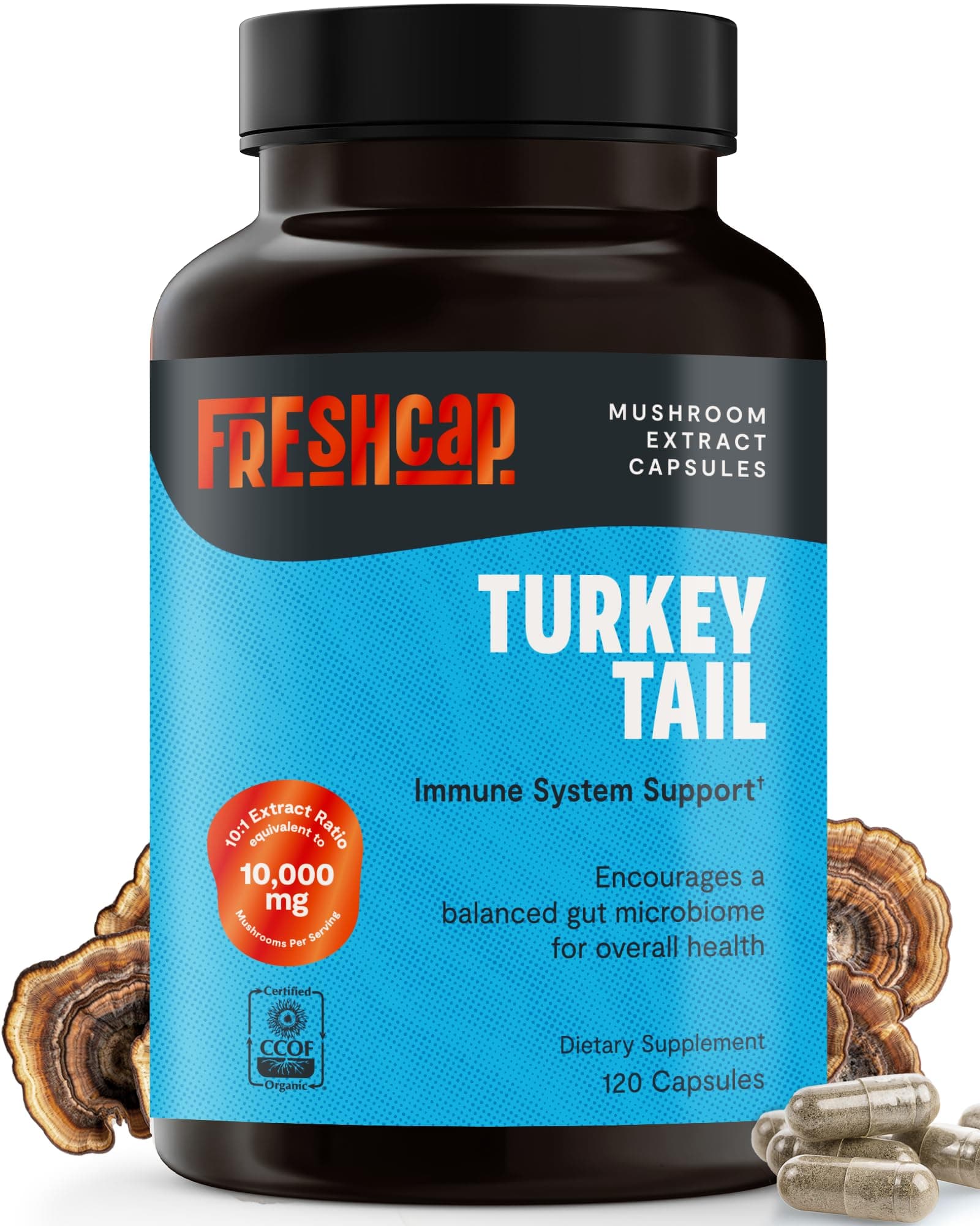 FreshCap, Turkey Tail Mushroom Capsules, Powerful Immune Support (35% Beta-glucan), 120 Count (2 Month Supply), Organic, Daily Mushroom Supplement, Fruiting Body Extract