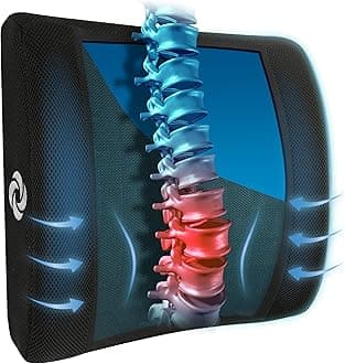 Lumbar Support Pillow with Cooling Gel – Memory Foam Back Pillow for Office Chair, Car Seat, or Gaming Chair – Ergonomic Design with Breathable Mesh & Washable Cover - Mesh with Cooling Gel