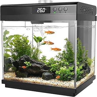 AQQA 3.7 Gallon Aquarium Starter Kit Small Glass Fish Tank with Filter and Light (10 Colors Adjustable) Desktop Self-Cleaning Betta Fish Tank Kit Office & Home Decor Idea (Black)