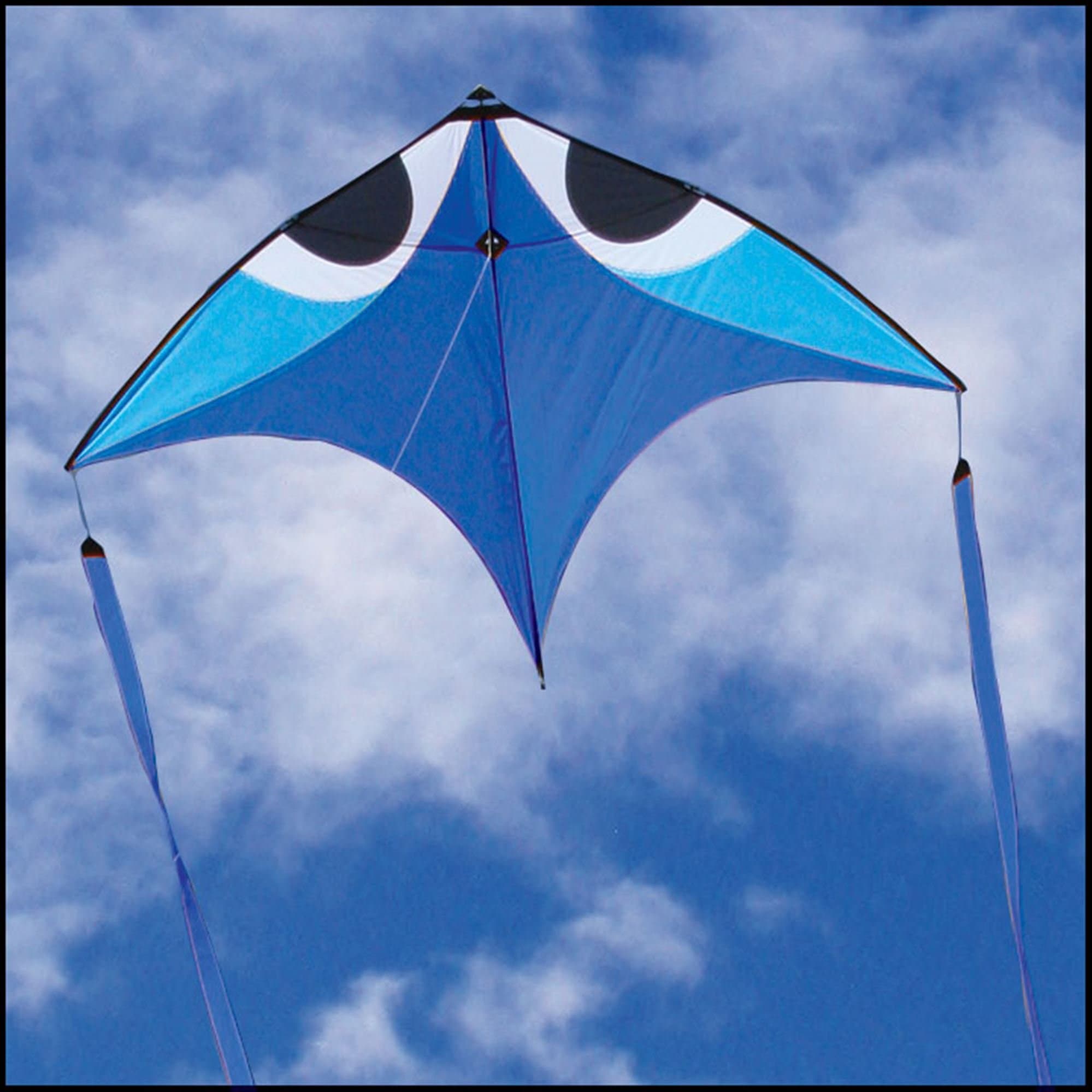 Flying Wings Blue Wala Glider-Kite