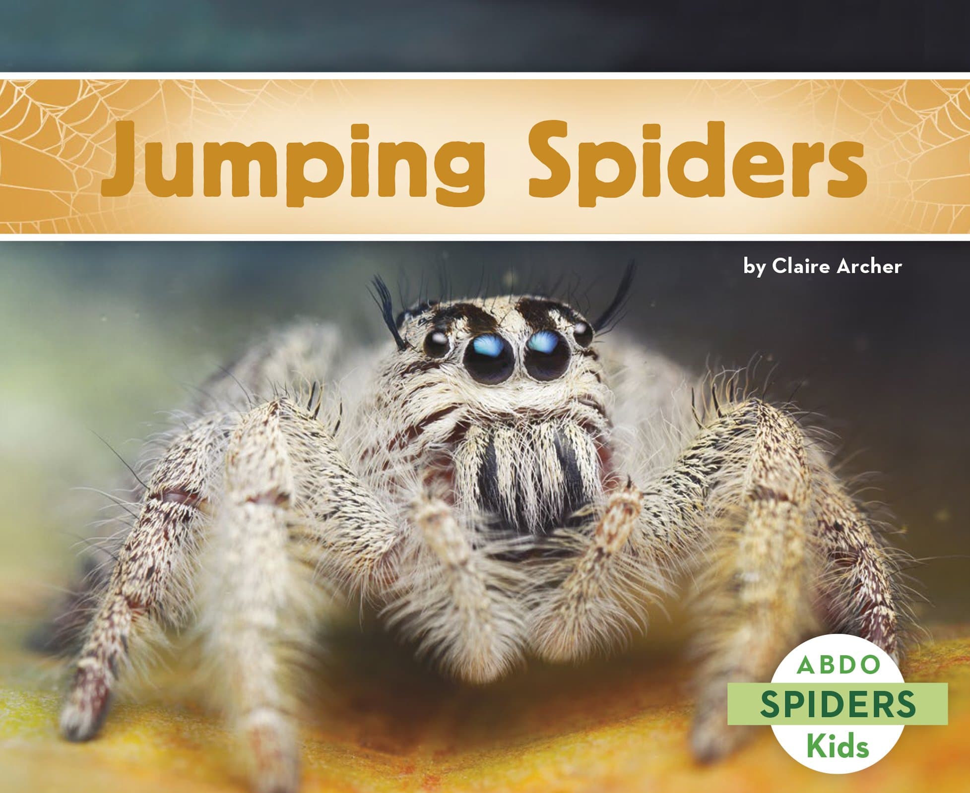 Jumping Spiders