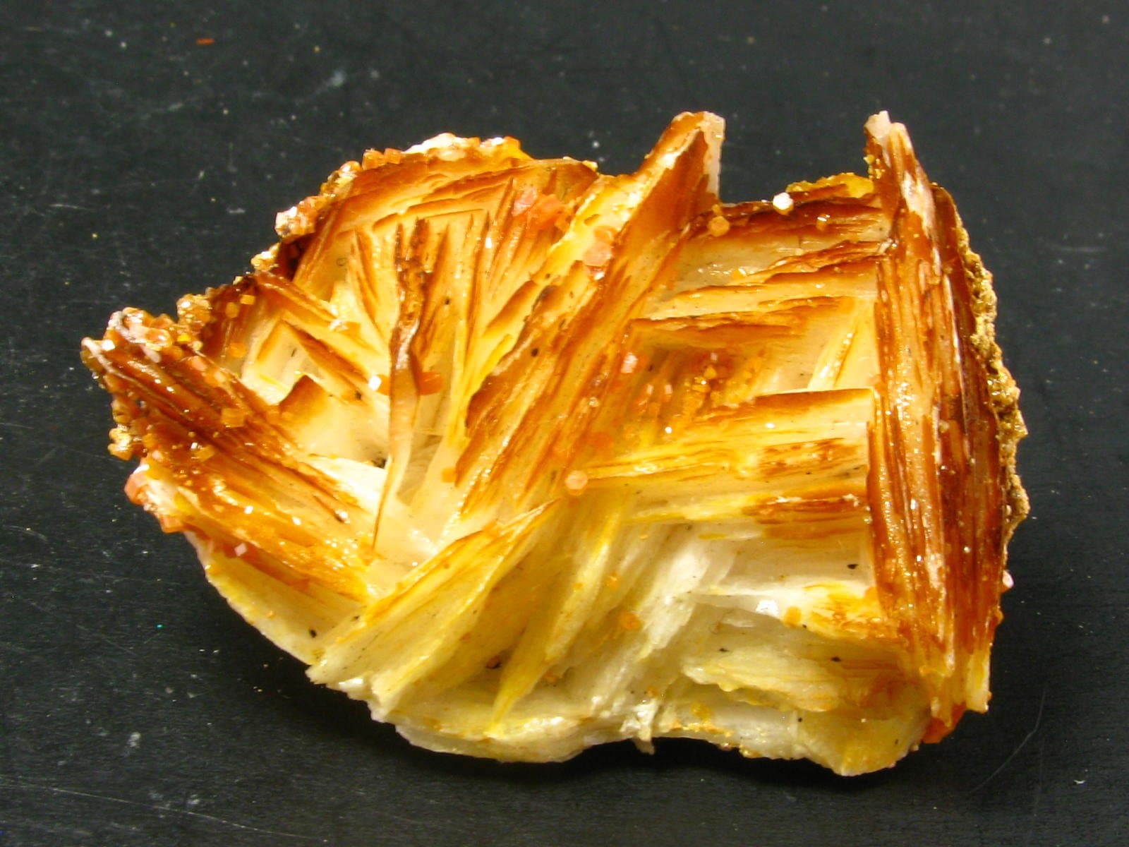 Large Vanadinite Cluster From Morocco - 1.9"