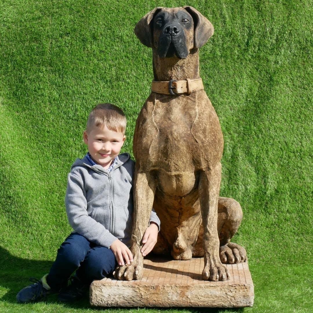 EXCLUSIVE TO DGS: Life Size Great Dane Solid Stone Cast Garden Statue 300kg Hand Painted Design DC52