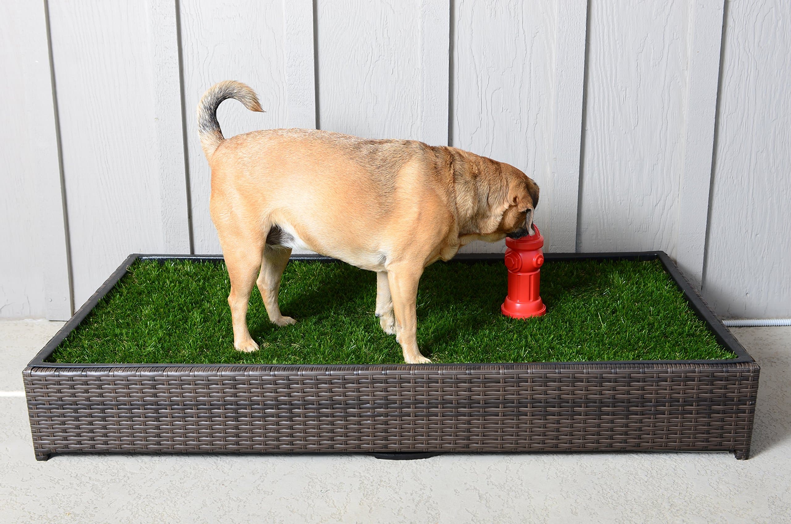Porch Potty Large Standard