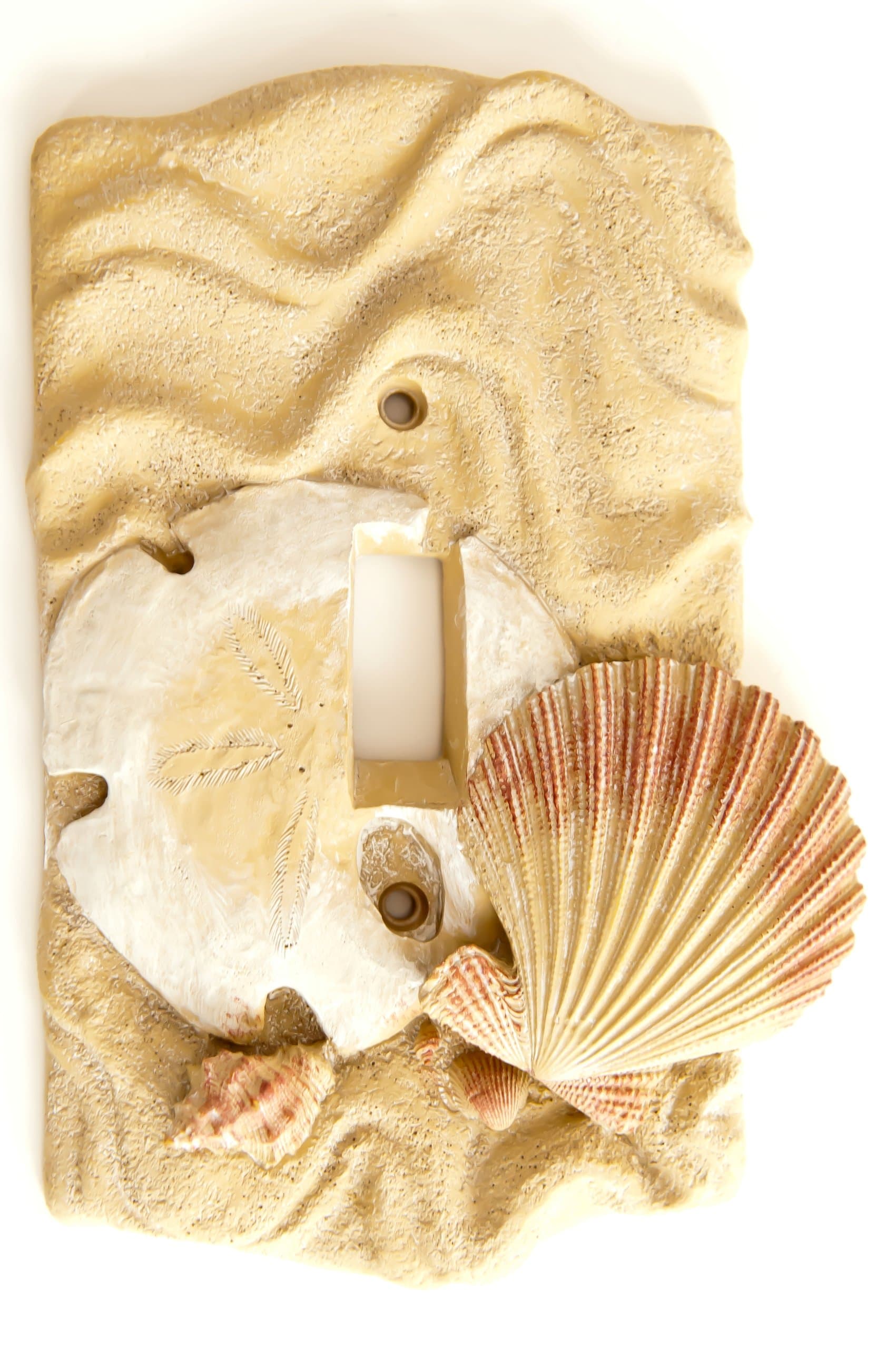 Sand dollar shells single Switchplate Cover