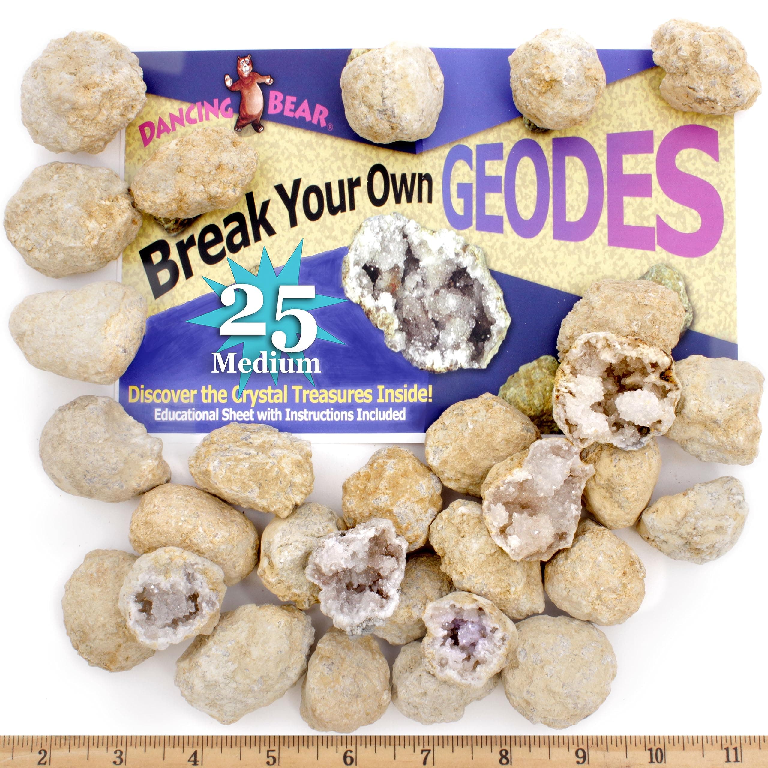 DANCING BEAR 25 Break Your Own Geodes, (Medium 1-1.5") 90% Hollow, Crack Open & Discover Amazing Surprise Crystals Inside! Educational Info and Instructions Included, Fun Party Favors & Prizes