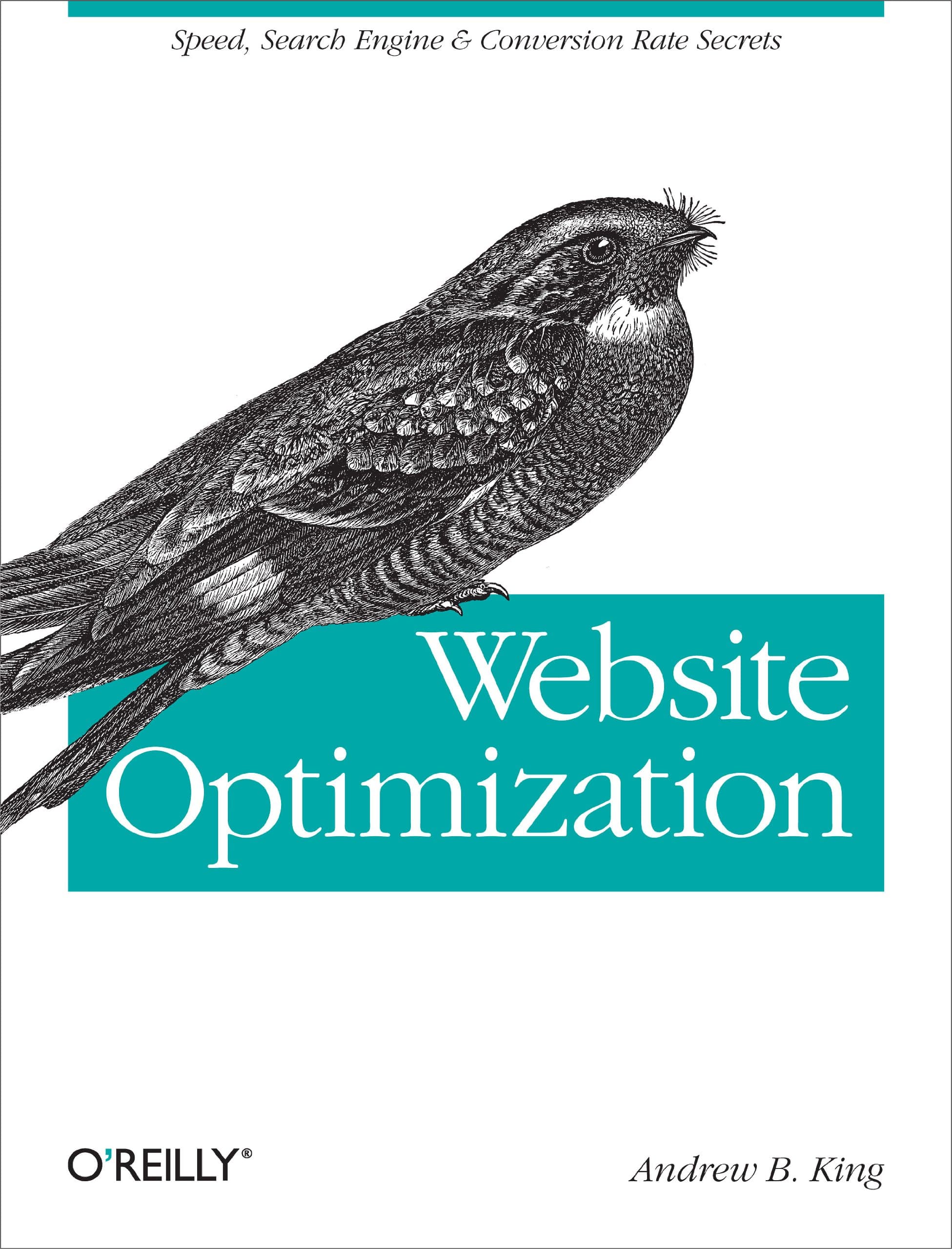 Website Optimization: Speed, Search Engine & Conversion Rate Secrets Paperback – Illustrated, 29 July 2008