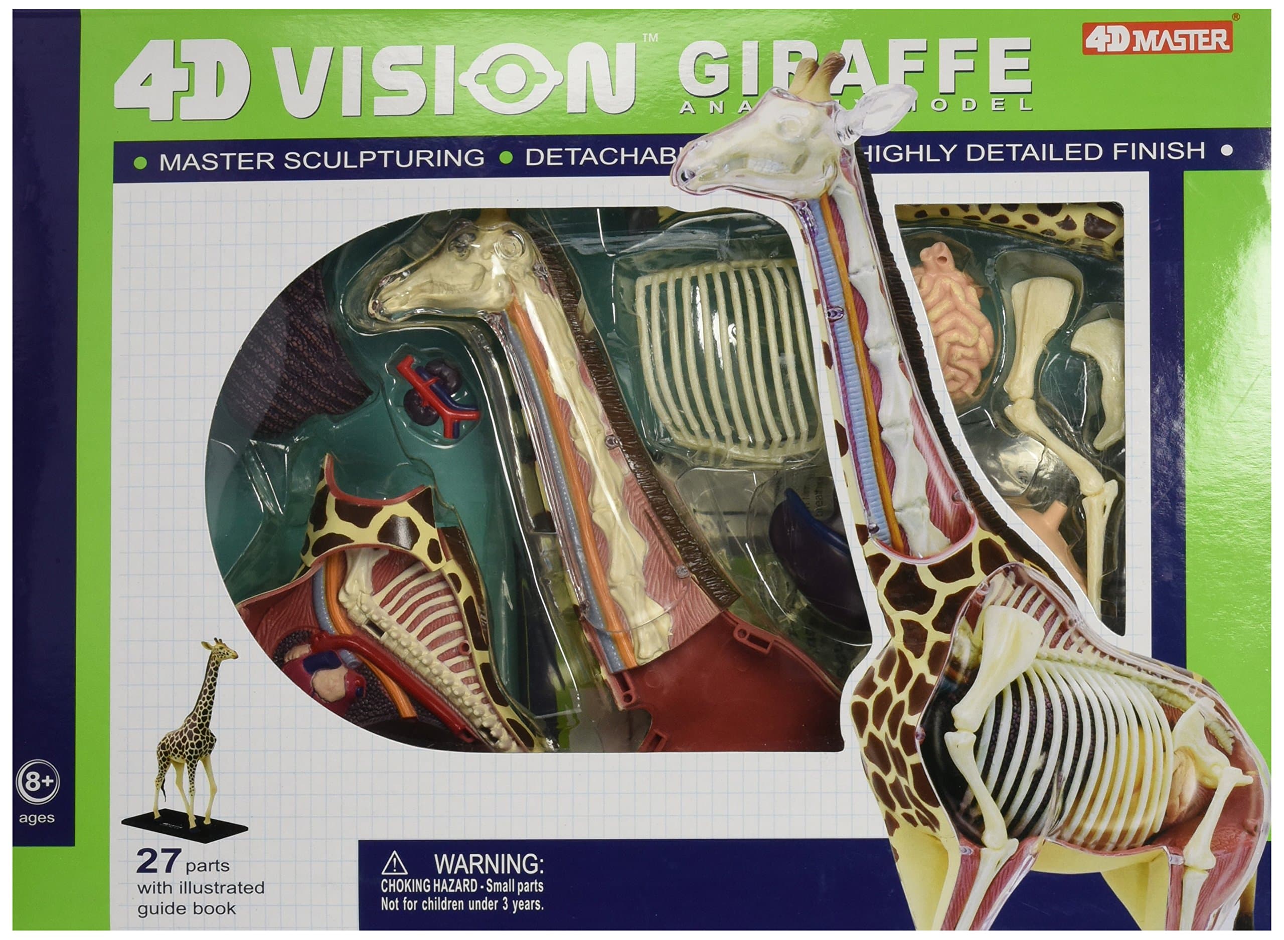 4D Vision Giraffe Anatomy Model