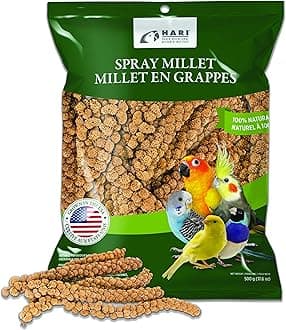 Living World Spray Millet,17.6”.