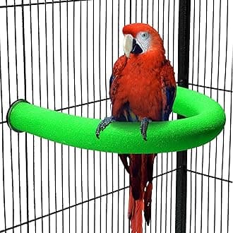 U Shape Parrot Perch Stand Toy Bird Platform Sand Paw Grinding Clean Stick Exercise Conure Budgie Cockatiel Cage Accessories (Green)