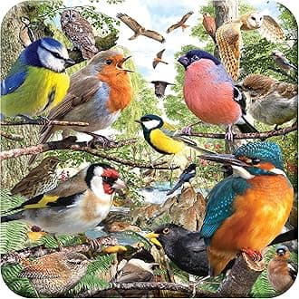 3D LiveLife Lenticular Cork Coaster - Nature's Home. Beautiful 3D Bird Coaster from Deluxebase. Original Artwork Licensed from Renowned Artist, David Penfound!
