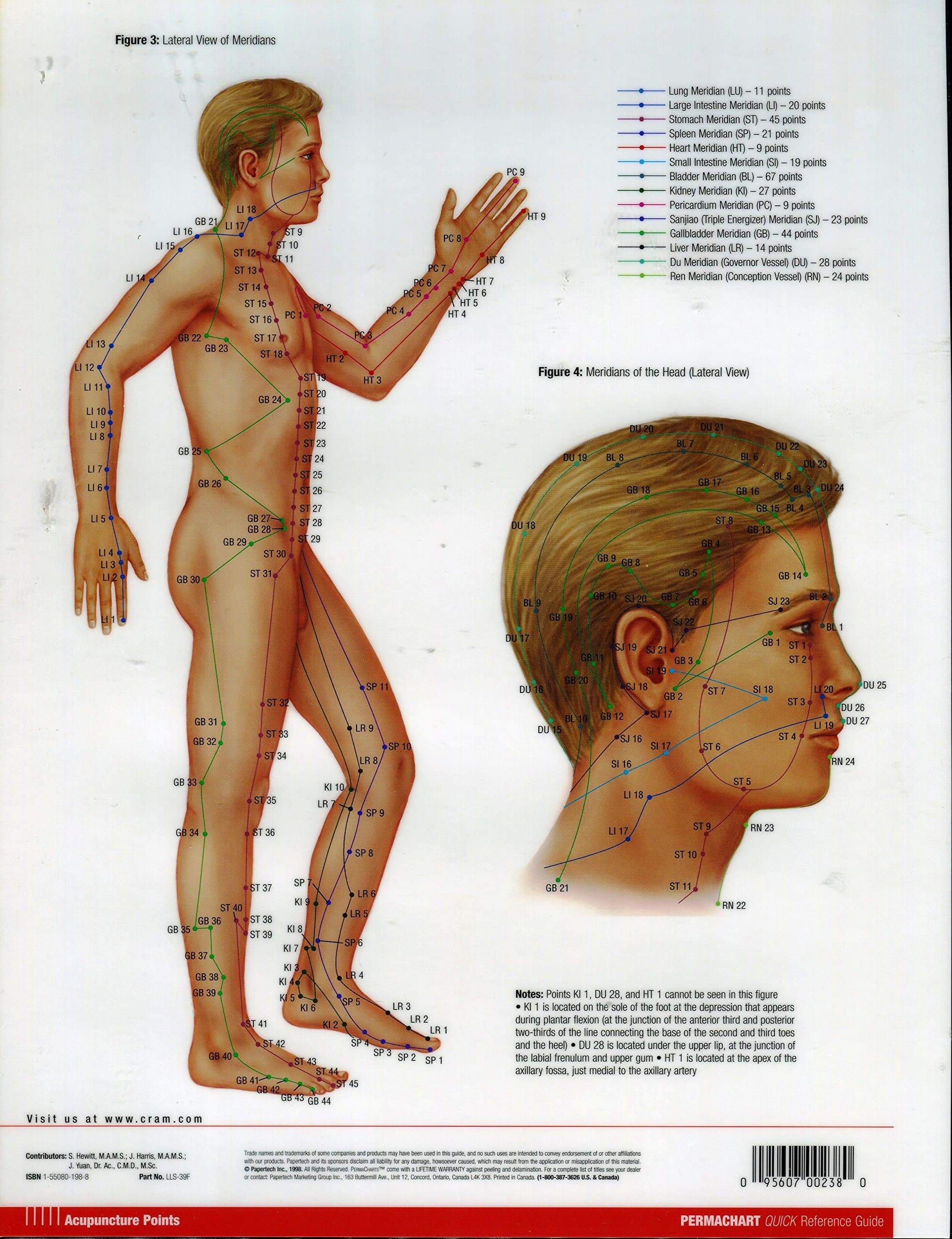 Acupuncture Points Chart Guide - Medical Quick Reference Guide by Permacharts