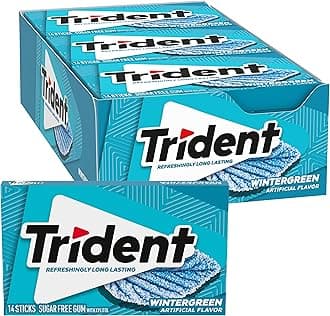 Wintergreen Sugar Free Chewing Gum with Xylitol 14 Sticks 39 g