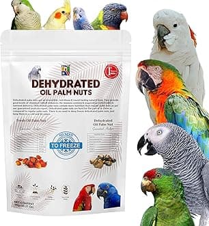 CONGO Natural Parrot Treat Dehydrated Oil Palm Nut for Parakeet, Cockatiels, Conure, Amazon, Senegal, African Grey, Macaw, Cockatoo, Eclectus and Other Birds, 1 Kg,All Life Stages