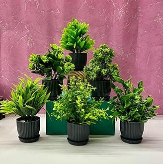 6 Packs Fake Plants Small, Mini Artificial Plants Indoor For Home Farmhouse Bathroom Shelf Décor (Height : 17Cm, Black) - Plastic