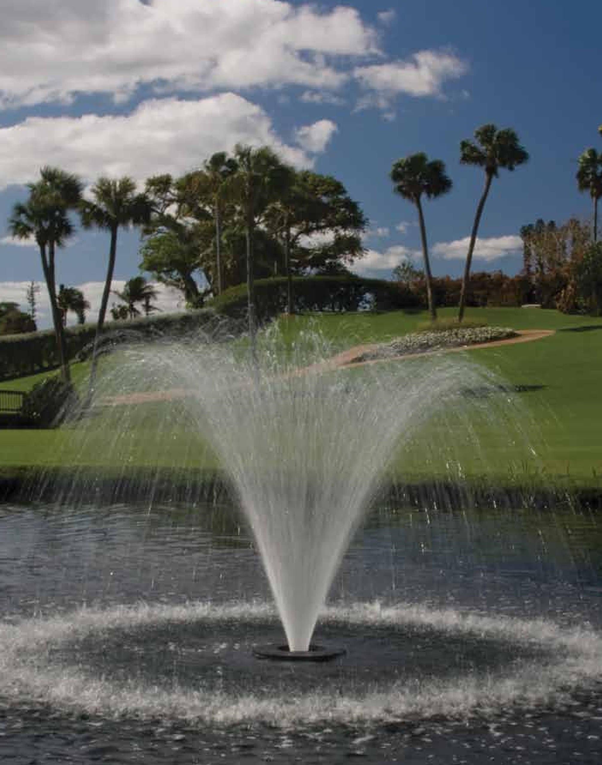 Aqua Control Evolution Series 1/2 Hp Floating Fountain with 175' Motor Cord