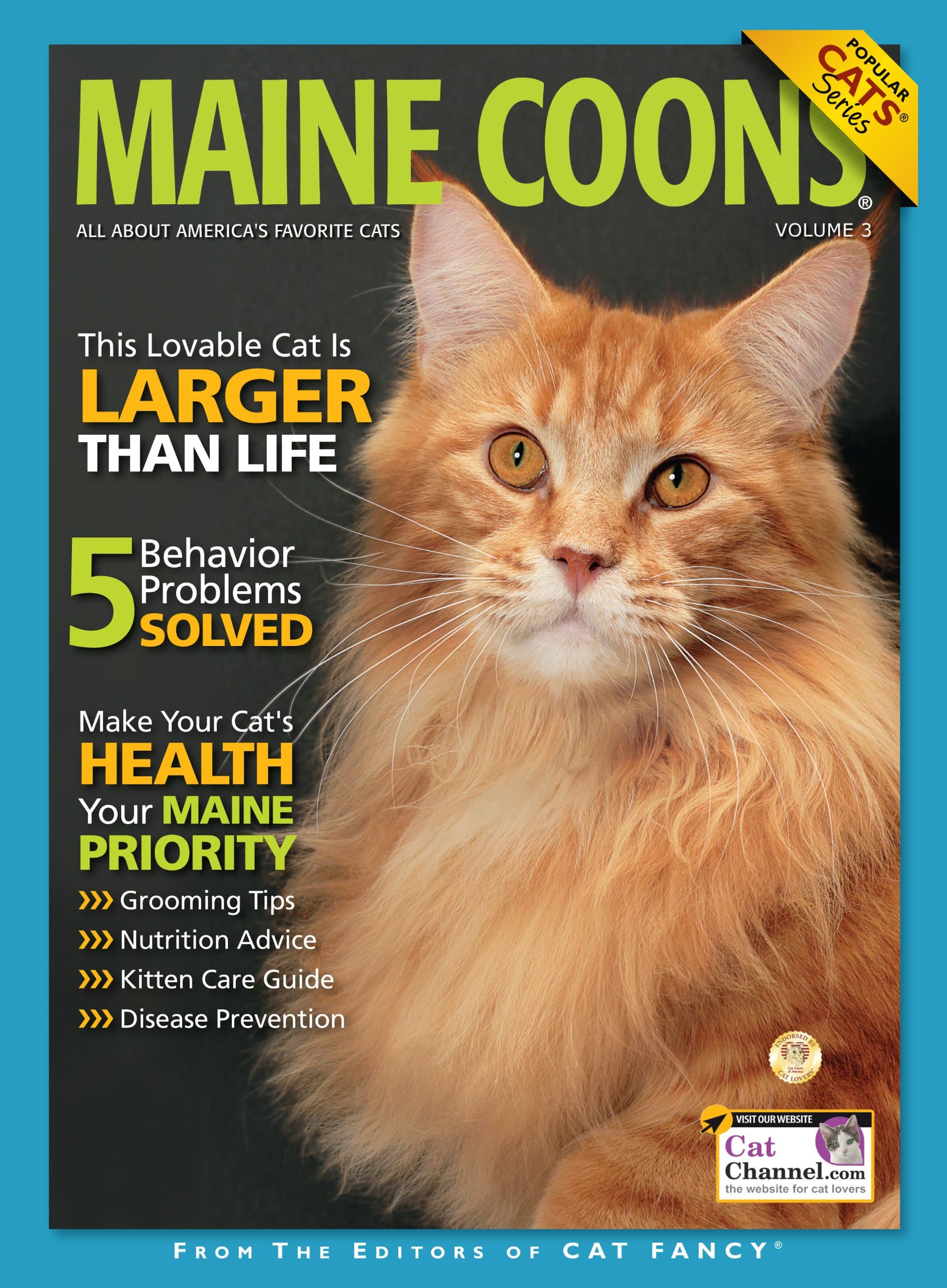 Maine Coons Paperback – January 1, 2007