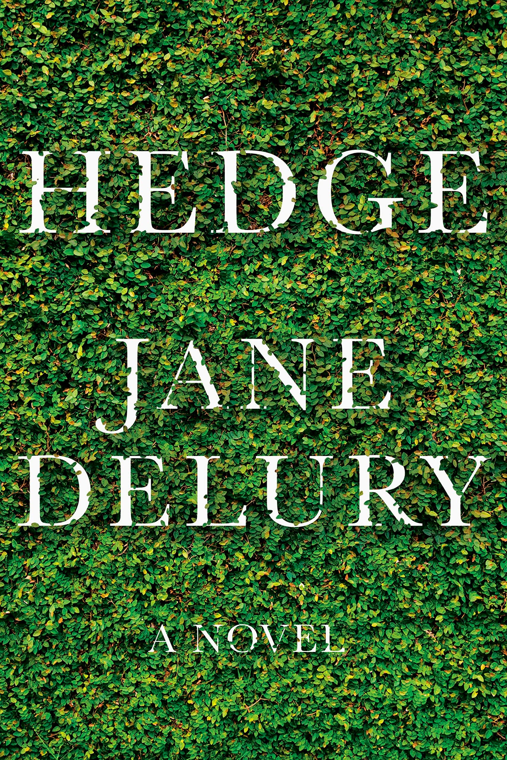 Hedge: A Novel