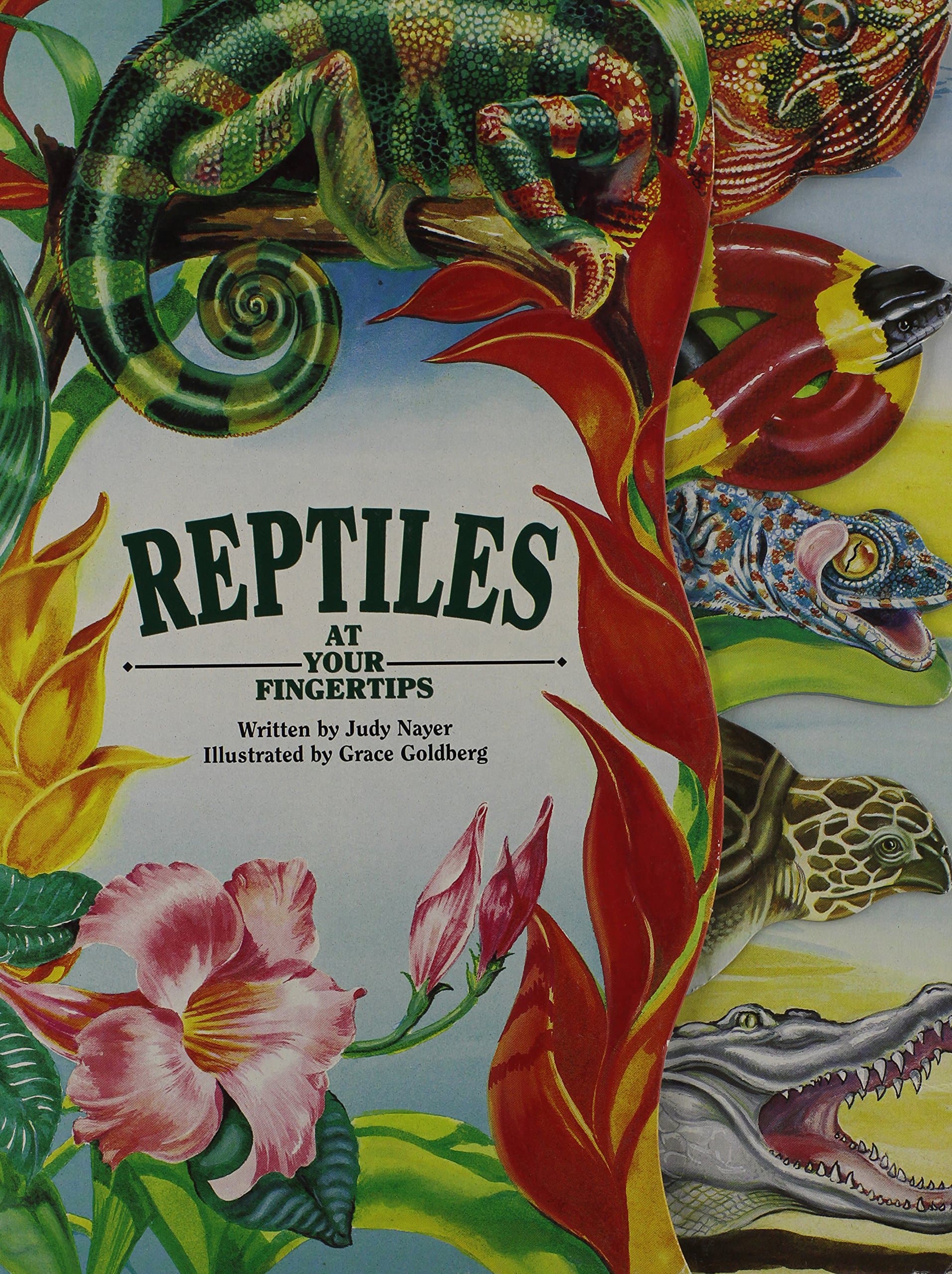 Reptiles: At Your Fingertips