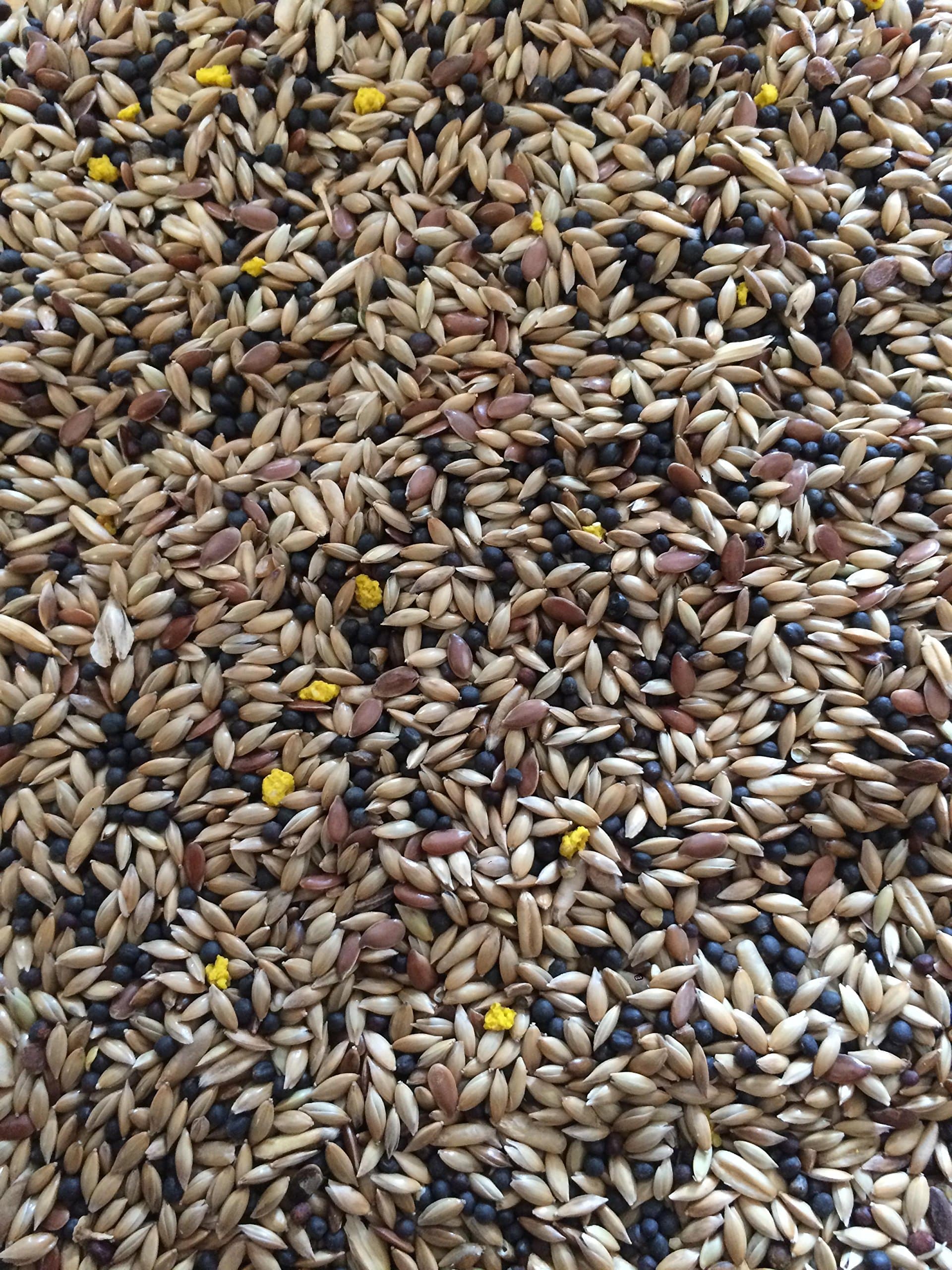 Mixed Canary Seed 20 Kg