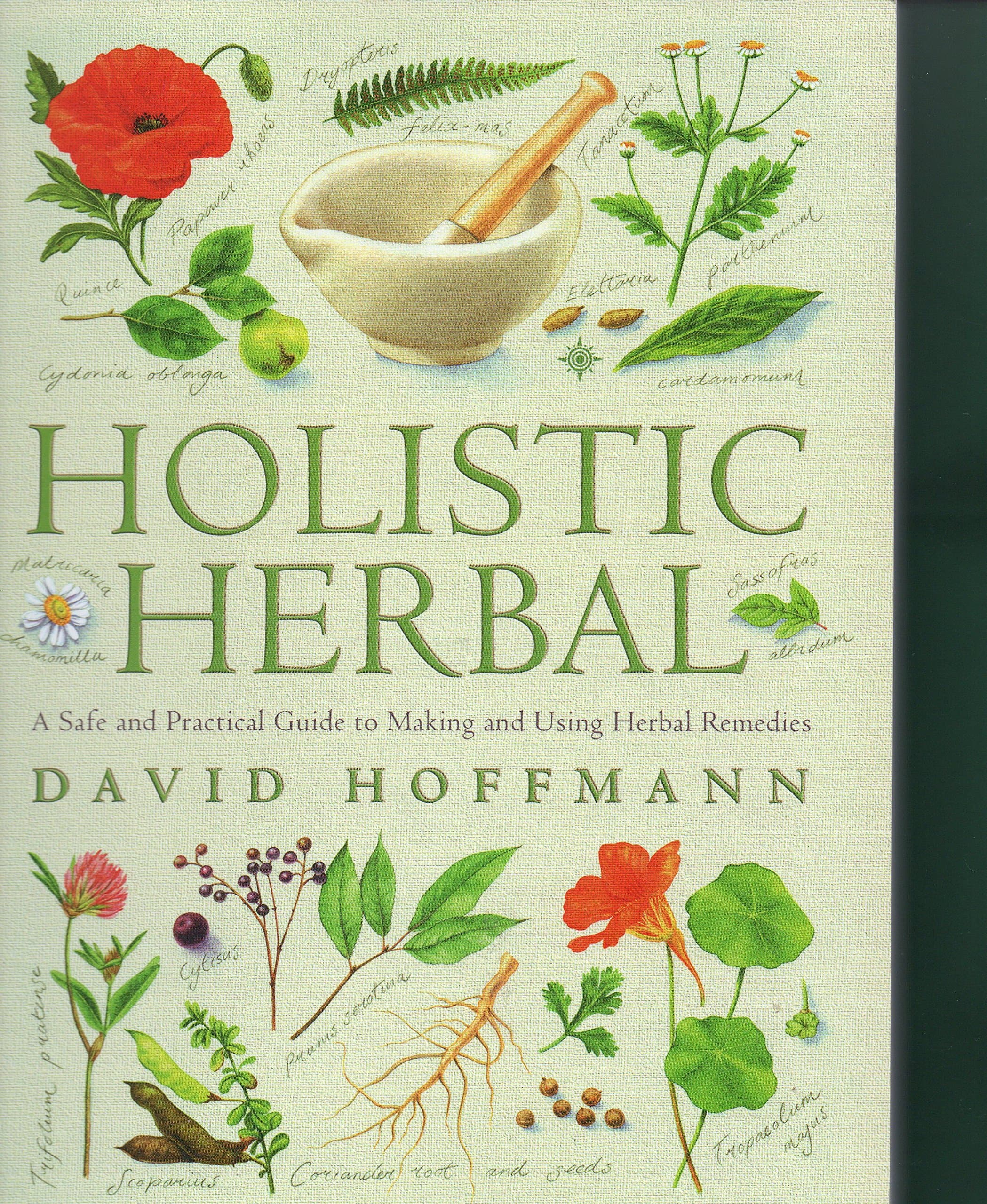 Holistic Herbal: A Safe and Practical Guide to Making and Using Herbal Remedies Paperback – January 1, 2003