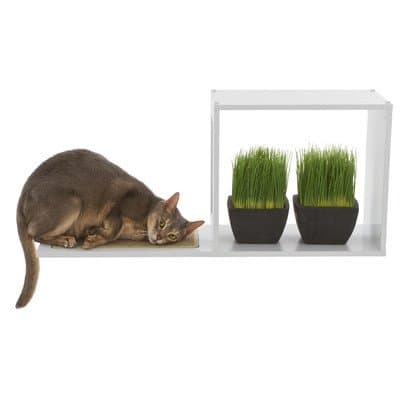 The Sophia Wall Mounted Cat Tree in White