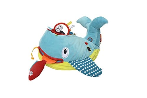 Dolce Toys and Learn Whale