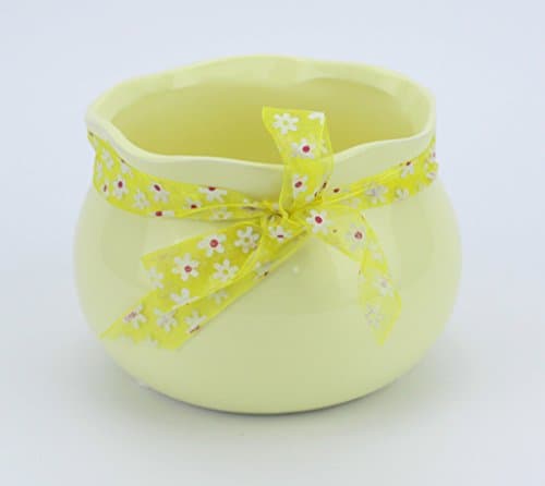 HanFengTang Solid color round Refreshing mini suit pots bow-knot flower pot