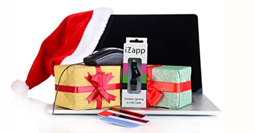 iZapp Lightning to USB Keychain Cable for Apple iPhone 6, iPhone 6 Plus, 5, 5S, 5C, iPad Air, Mini, iPod Touch, Nano - Black