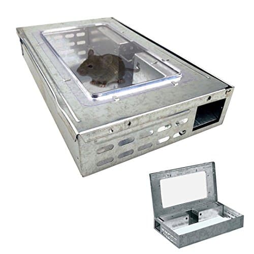 Mouse Trap,Mailat Mouse Trap Humane Mice Cathcer Multicatch Live 10 Mouses Metal Reuseable Pest (Silver)