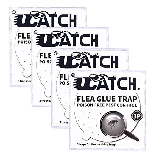 UCatch The Ultimate Flea Trap Refills – Disposable Flea Glue Refill Discs for Victor M230A Traps 4 Pack of 3 (12 Total)